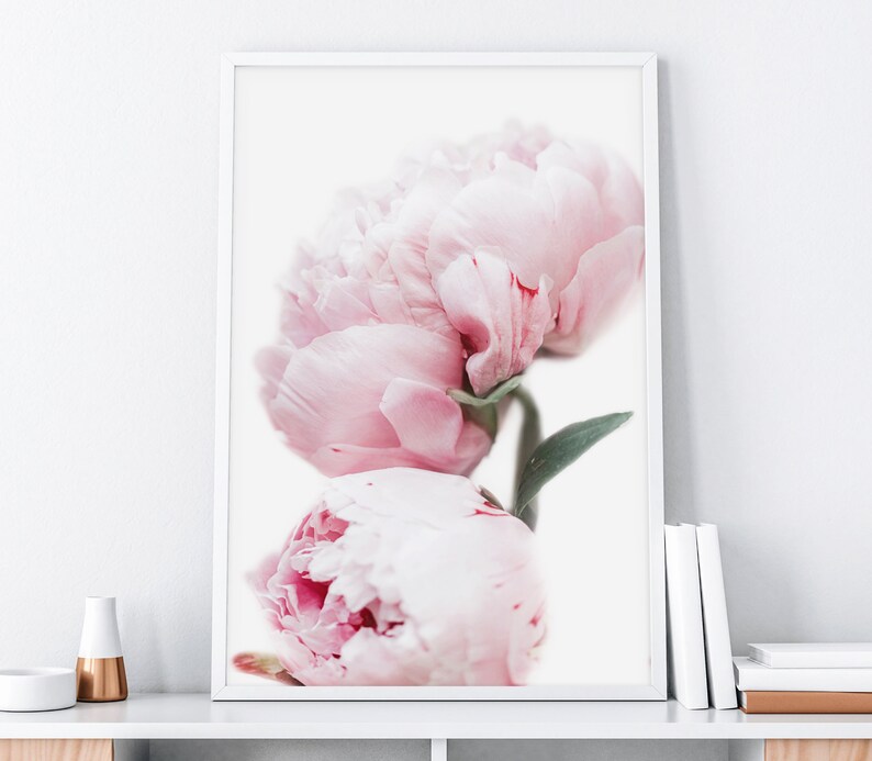 May include: A close-up of two pink peonies with green stems and leaves against a white background.