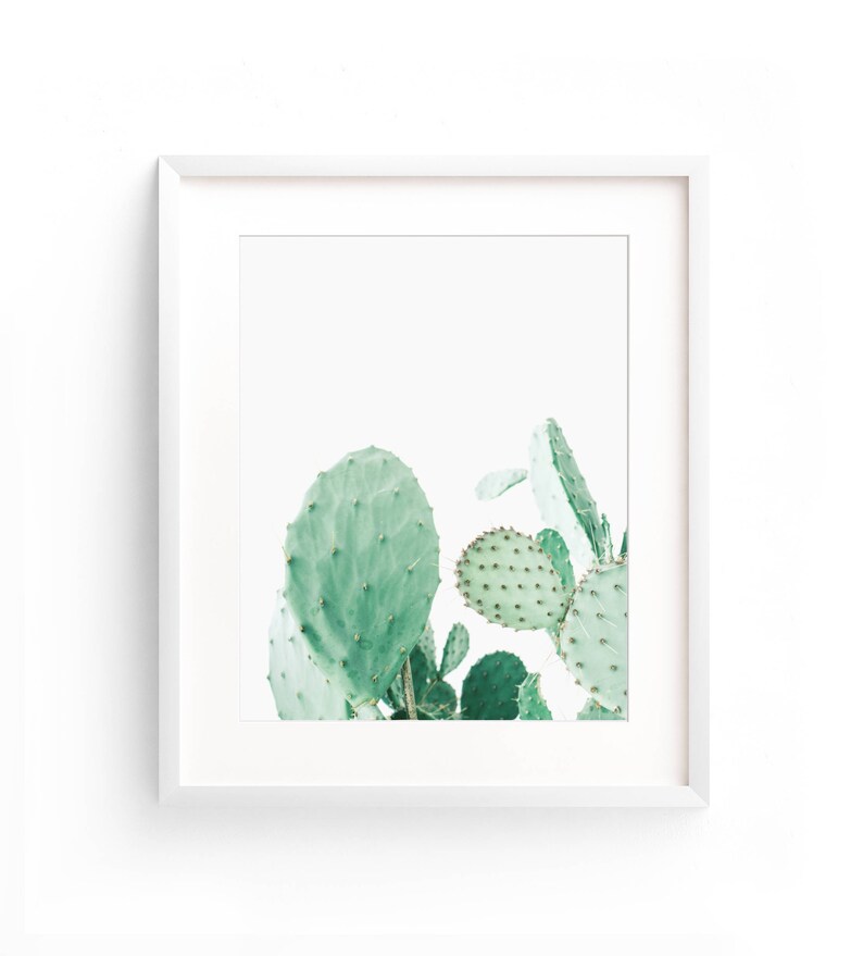 Mint Cactus Print, Desert Wall Art Print, Cactus Photo, Prickly Pear ...