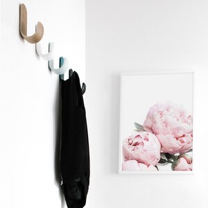 Puede incluir: Una pared blanca con un conjunto de cinco ganchos de madera y pl&aacute;stico. Una chaqueta negra est&aacute; colgada de los ganchos. Una impresi&oacute;n enmarcada de peon&iacute;as rosas est&aacute; en la pared.