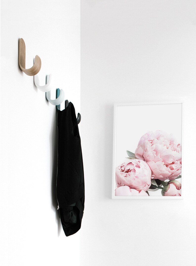 Puede incluir: Una pared blanca con un conjunto de cinco ganchos de madera y pl&aacute;stico. Una chaqueta negra est&aacute; colgada de los ganchos. Una impresi&oacute;n enmarcada de peon&iacute;as rosas est&aacute; en la pared.