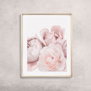 Op de afbeelding: Een ingelijste print van een close-up van zachte roze bloemen met een witte achtergrond.