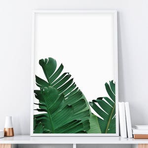 May include: A framed print featuring a close-up of lush green tropical leaves against a white background.