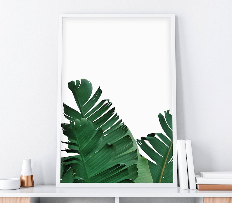 May include: A framed print featuring a close-up of lush green tropical leaves against a white background.