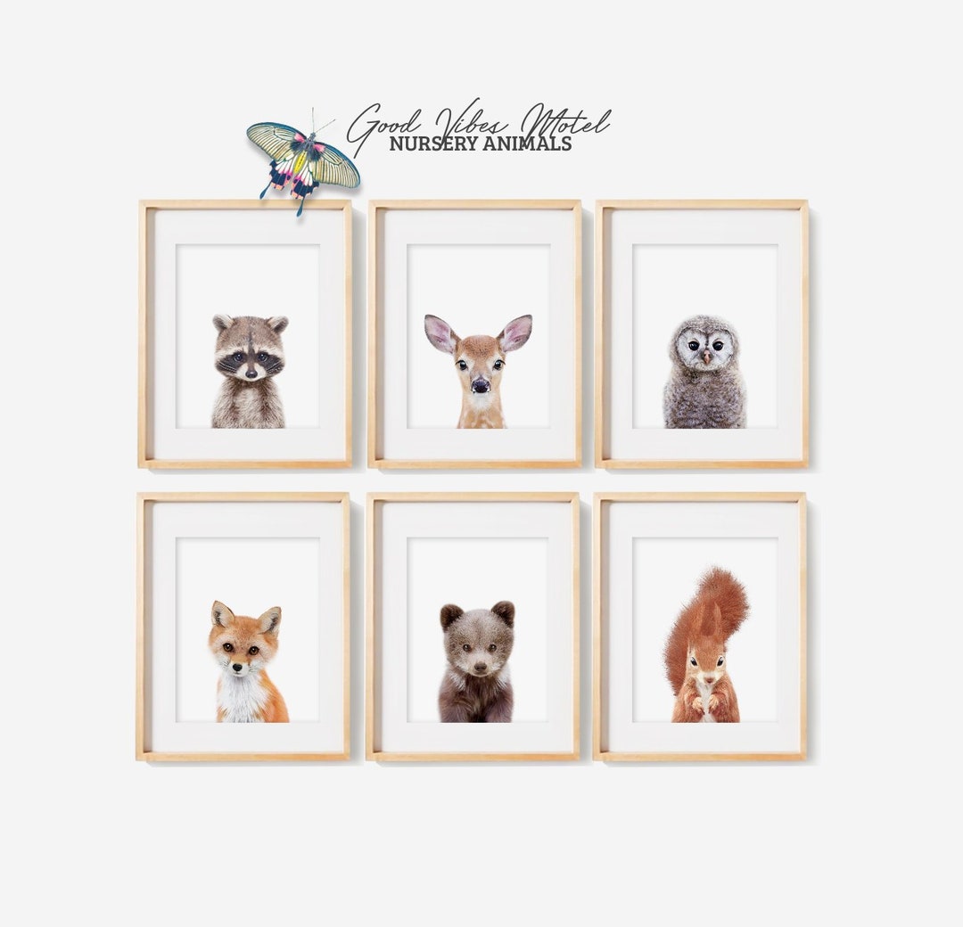 Woodland Nursery Decor, Baby Animal Prints, Set of 6 Prints Animals ...