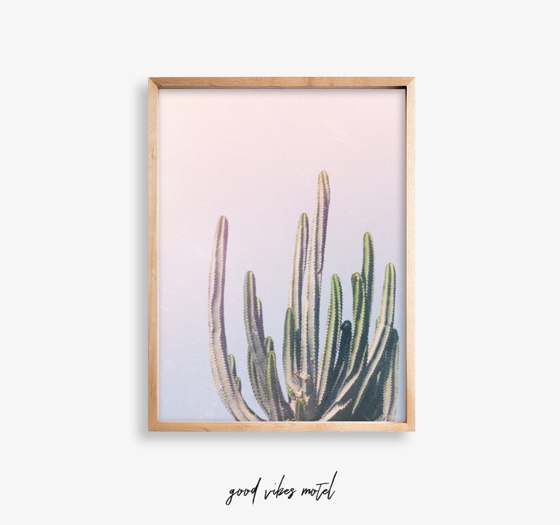 May include: A framed print of a cactus plant with a pink and purple gradient background. The text "good vibes motel" is written below the image.
