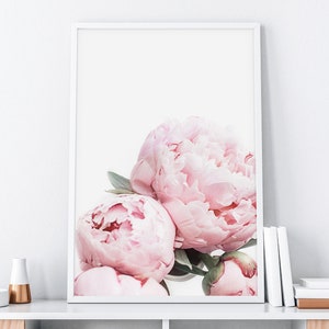 Puede incluir: Una impresi&oacute;n enmarcada que presenta un primer plano de tres peon&iacute;as rosas. Las peon&iacute;as est&aacute;n enfocadas, mientras que el fondo est&aacute; desenfocado.