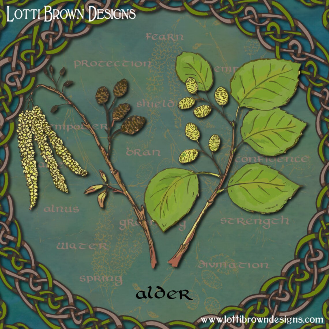 Celtic Alder Tree Art Print unframed Celtic Tree Calendar Etsy
