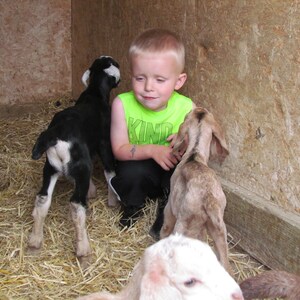 Montana Huckleberry | Goat Milk Lotion | 8oz. | All Over Body Moisturizer | Natural Mosquito Repellant | Natural Skincare image 9