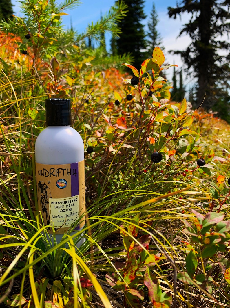 Montana Huckleberry | Goat Milk Lotion | 8oz. | All Over Body Moisturizer | Natural Mosquito Repellant | Natural Skincare image 1