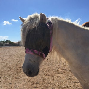 Miniature Horse/Pony Fly Masks - Dual Adjustment or w/ Ear Holes - Made To Order