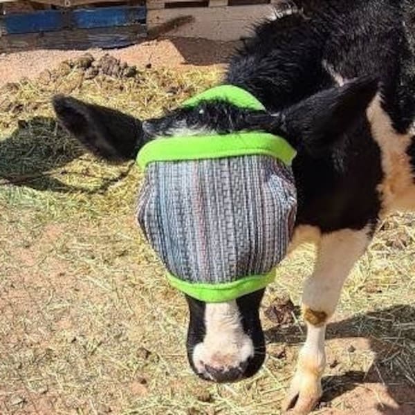 Cattle Fly Masks - Mini Calf to 2XL Giant Cattle - Dual Adjustable - Made to Order!