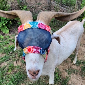 Goat/Sheep Fly Masks - with & w/o Horns - Dual Adjustable - Made to Order!