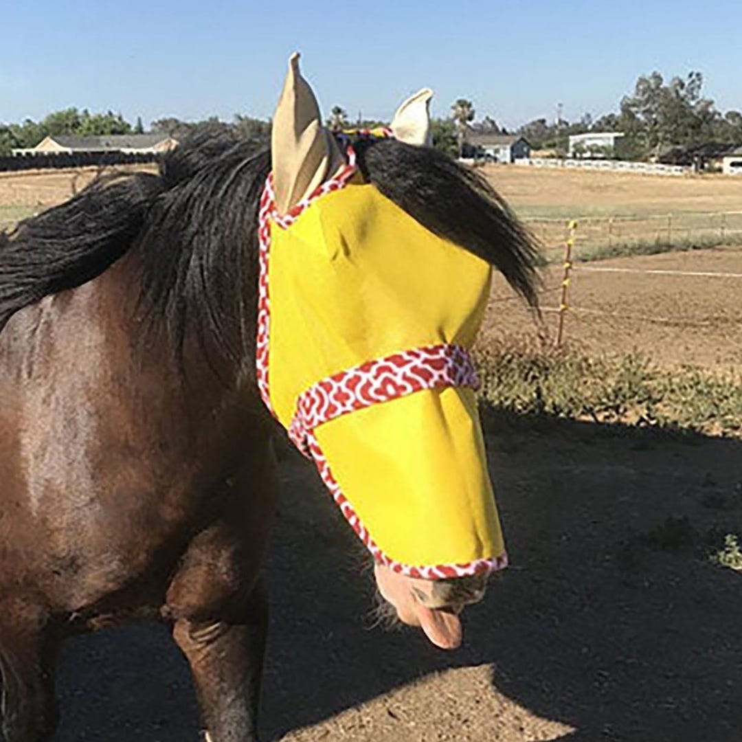 Scegliere Una Maschera Antimosche Per Il Tuo Cavallo - Foto 3