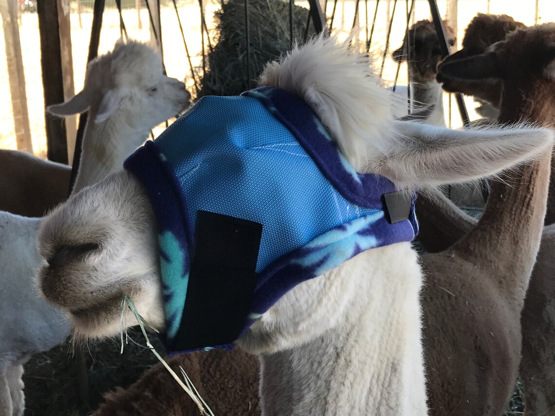 Alpaca / Goats / Sheep / Sm Llama Fly Masks Handmade to Etsy