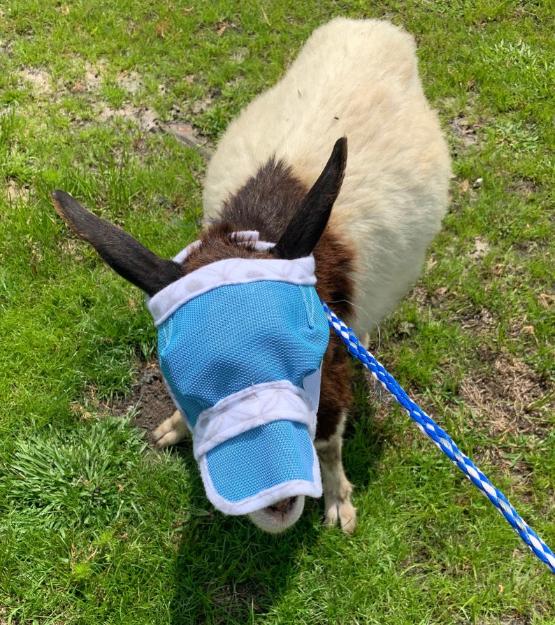 Goat/sheep Fly Masks With & W/o Horns Dual Adjustable Etsy