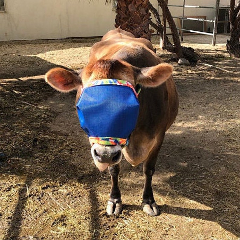 Sewityourself Kits Cattle Fly Masks Ships Fast Etsy