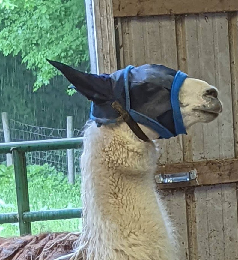 Alpaca /Llama/Cria - Fly Masks with Ear Cap for Ear Protection! - Made to Order!