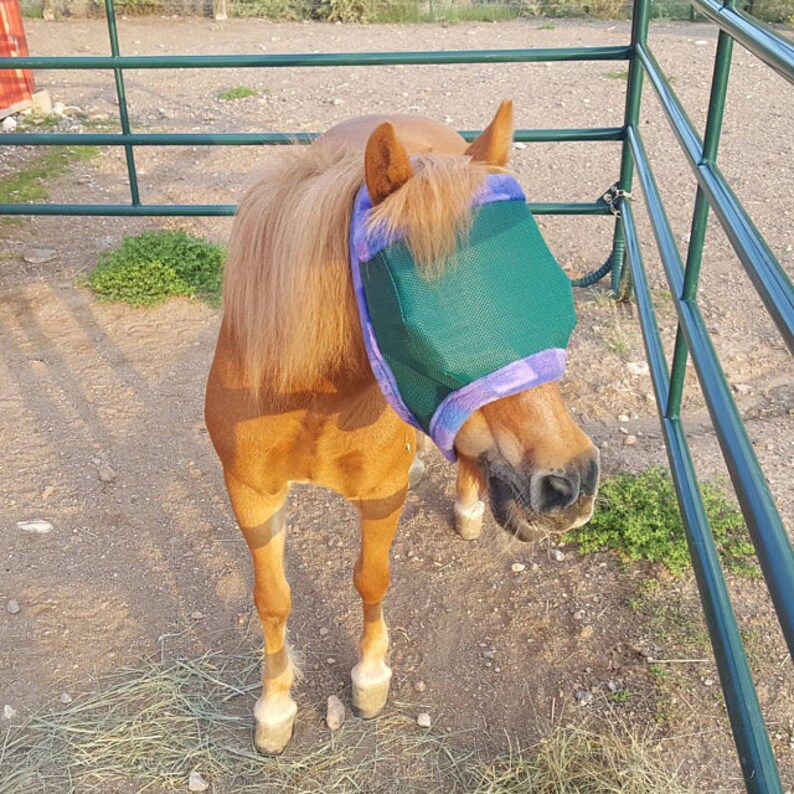 Sewityourself Kits Horse / Donkey / Mule Fly Masks Ships Etsy