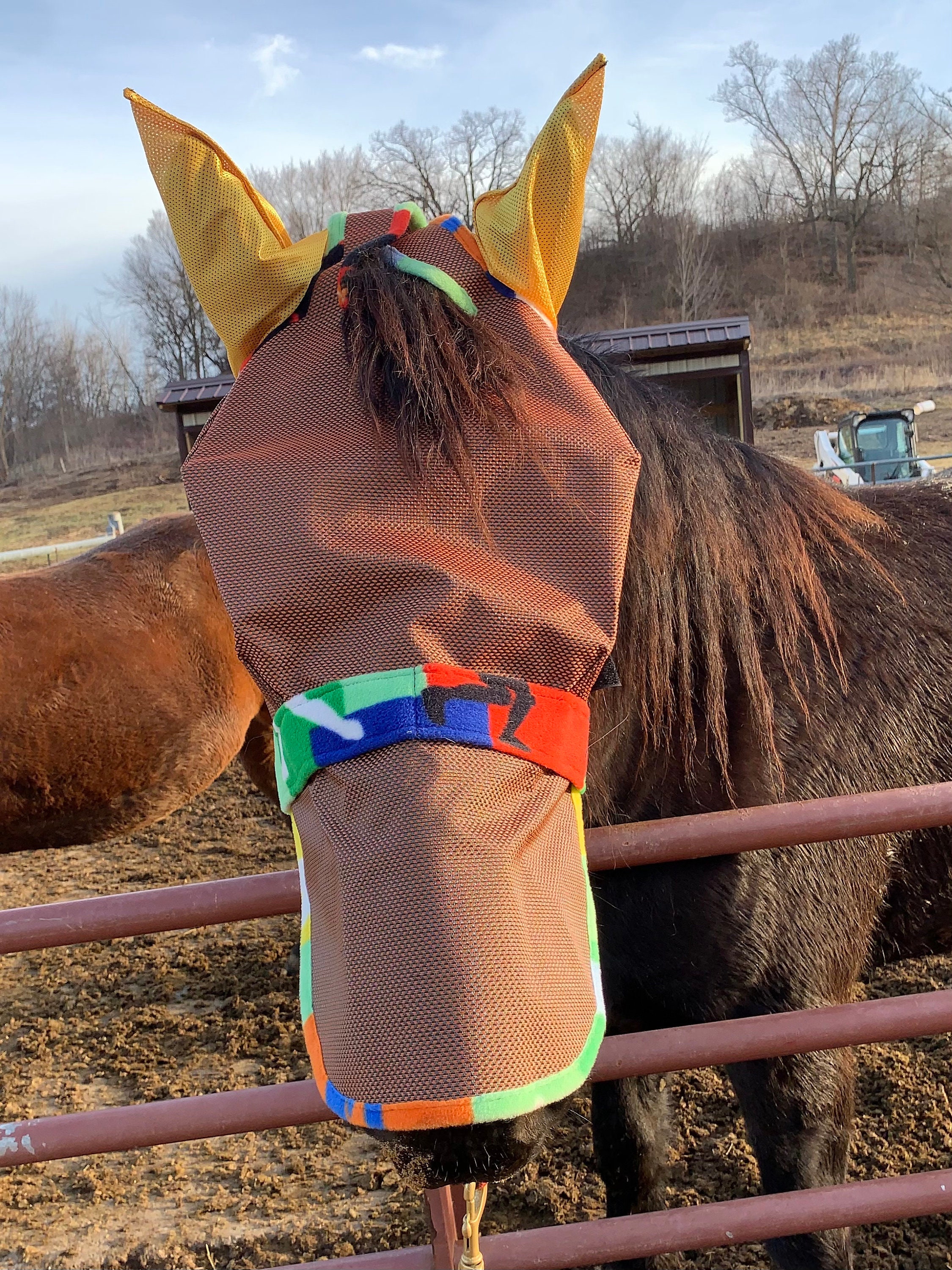 Scegliere Una Maschera Antimosche Per Il Tuo Cavallo - Foto 5