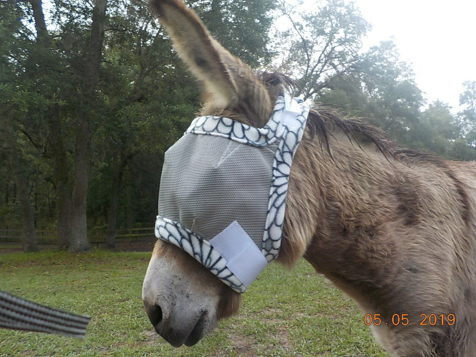 Donkey/Mule Fly Masks Dual Adjustment of w/ Ear Holes Op foto