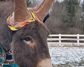 Cappucci auricolari impermeabili invernali