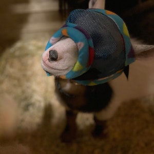 Puede incluir: Un perro blanco con un bozal estampado en azul, morado y rojo con una malla que cubre los ojos. El bozal est&aacute; dise&ntilde;ado para evitar que el perro lama o muerda.