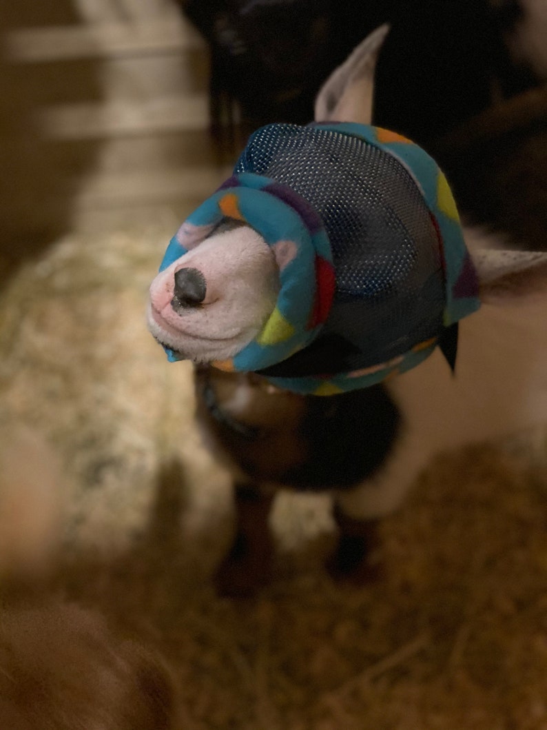 Puede incluir: Un perro blanco con un bozal estampado en azul, morado y rojo con una malla que cubre los ojos. El bozal est&aacute; dise&ntilde;ado para evitar que el perro lama o muerda.