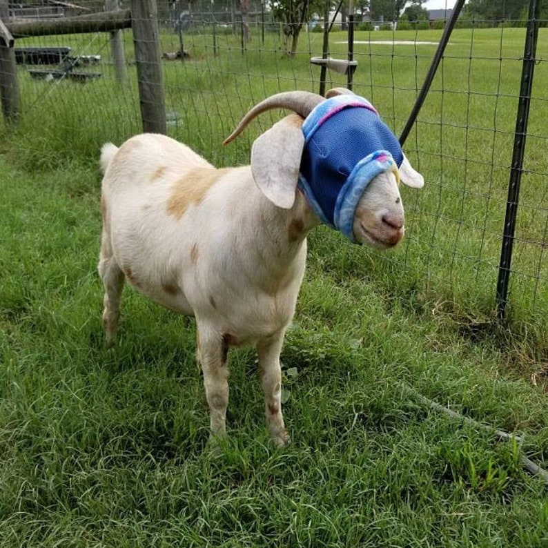 Goat/sheep Fly Masks With & W/o Horns Dual Adjustable Etsy