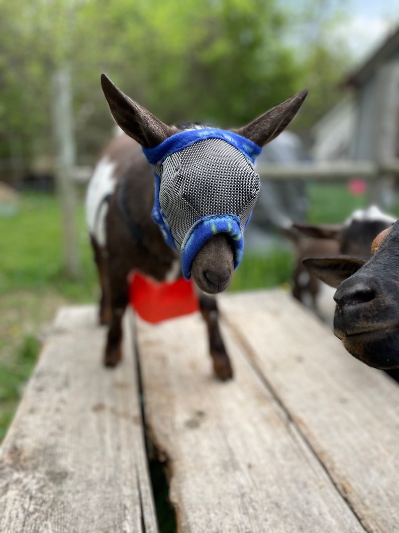 Goat/sheep Fly Masks With & W/o Horns Dual Adjustable Etsy