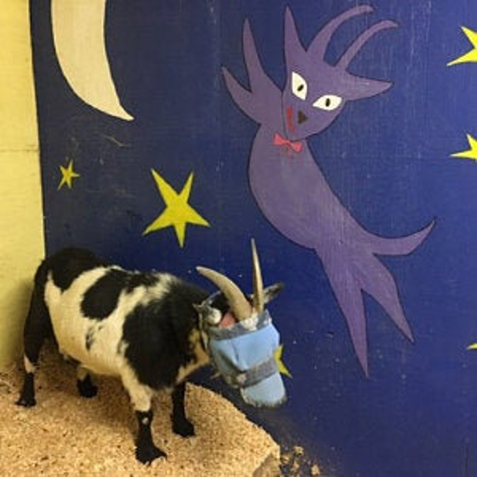 Goat/sheep Fly Masks With & W/o Horns Dual Adjustable Etsy