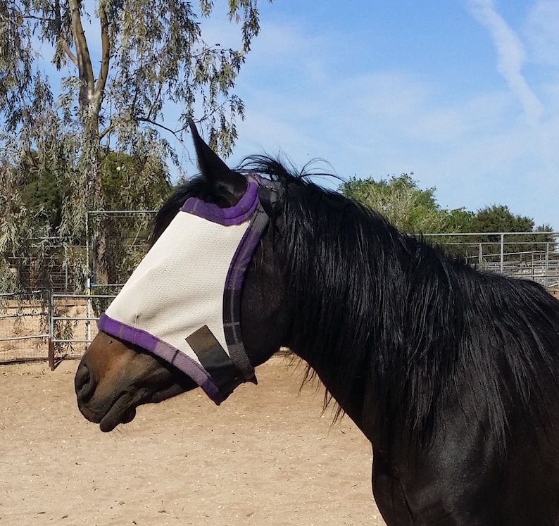 Sewityourself Kits Horse / Donkey / Mule Fly Masks Ships Etsy