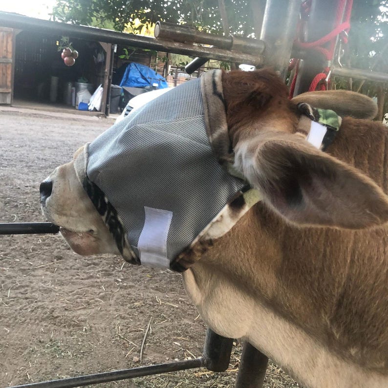 Cattle Fly Mask: Adjustable Fit, UV Protection, Fleece Trim, Made to Order