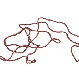 May include: A brown cord with a metal clasp. The cord is tangled and knotted.