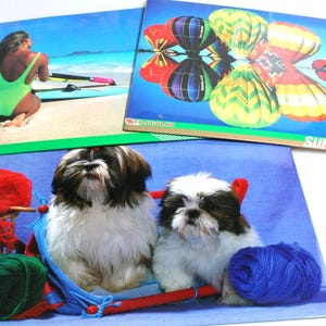 May include: Three colorful prints featuring different scenes. One shows a person in a green swimsuit on a beach with a surfboard. Another depicts hot air balloons reflected in water. The third print displays two Shih Tzu puppies.