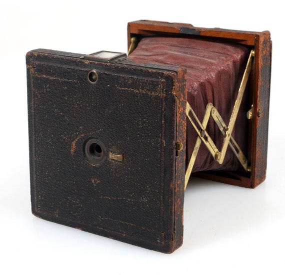 ストラット ストラット ☆ adidas Originals ZX Torsion EE4787 | FLEXDOG