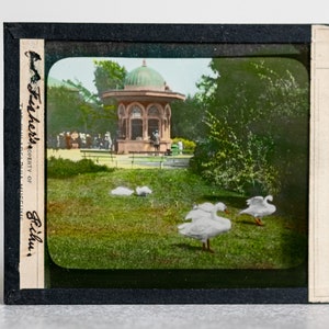 Geese Magic Lantern Color Glass Slide
