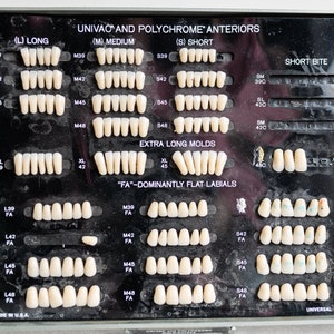 Fake Teeth Univac and Polychrome Mold Guide