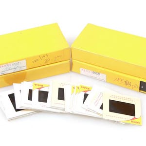 Family Found Image Slides, Large Lot