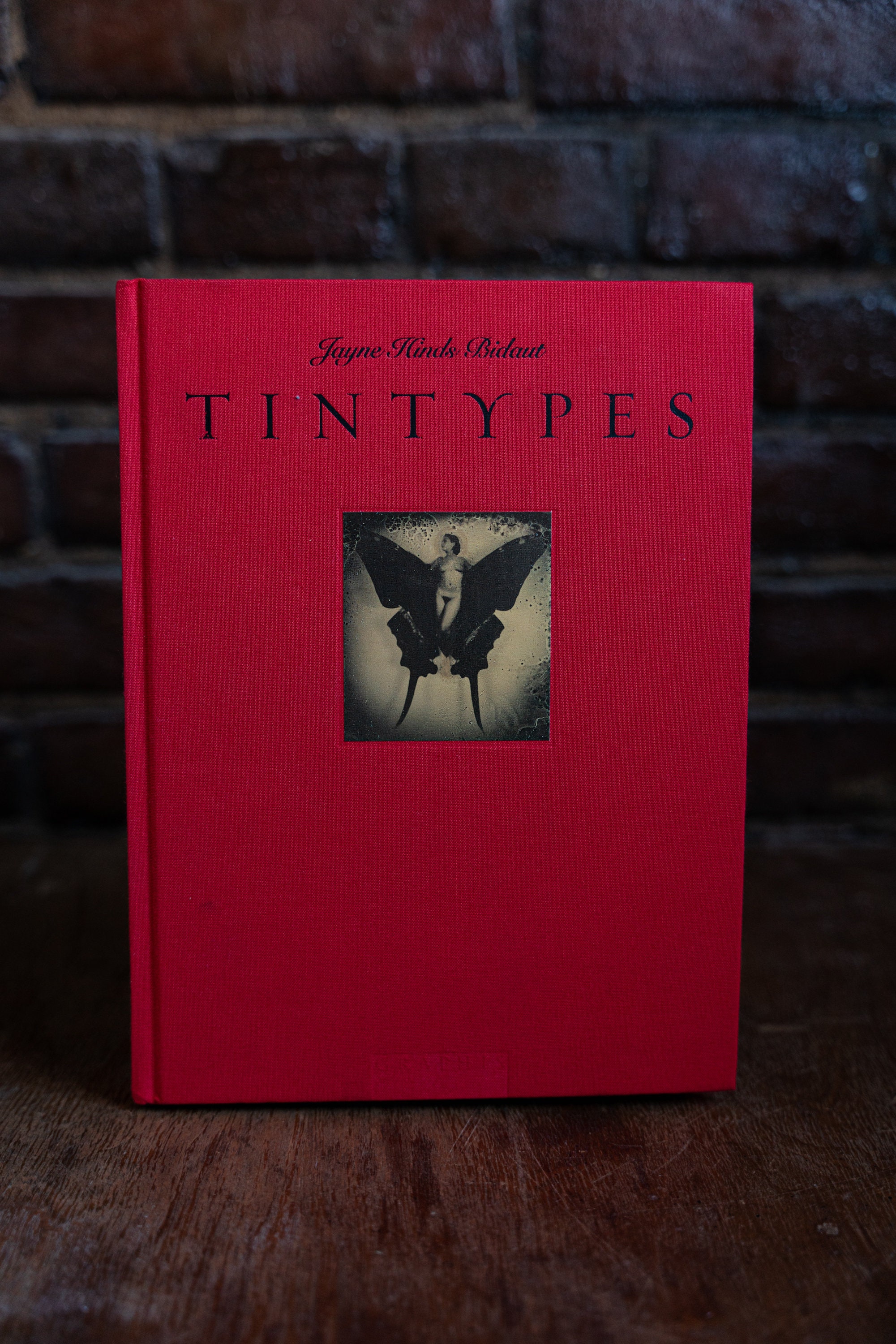 希少本　Tintypes  Jayne Hinds Bidaut Jayne Hinds Bidaut: Tintypes by Bidaut, Jayne Hinds; Ray