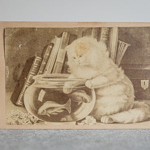 Vintage Cat Fishing in a Goldfish Bowl - CDV