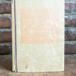 Websters New World Dictionary of the American Language: Concise Edition