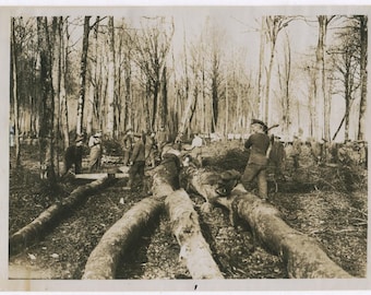 Vintage WWI British Soldiers Clearing Forest in France 8x10 Photo Reprint