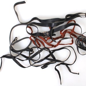 May include: A tangled pile of black leather straps with a brown leather strap and metal buckles.