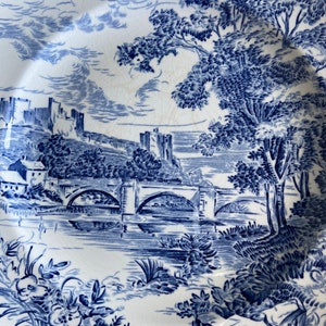 Wedgewood Countryside pattern plate, cup and 2 saucers