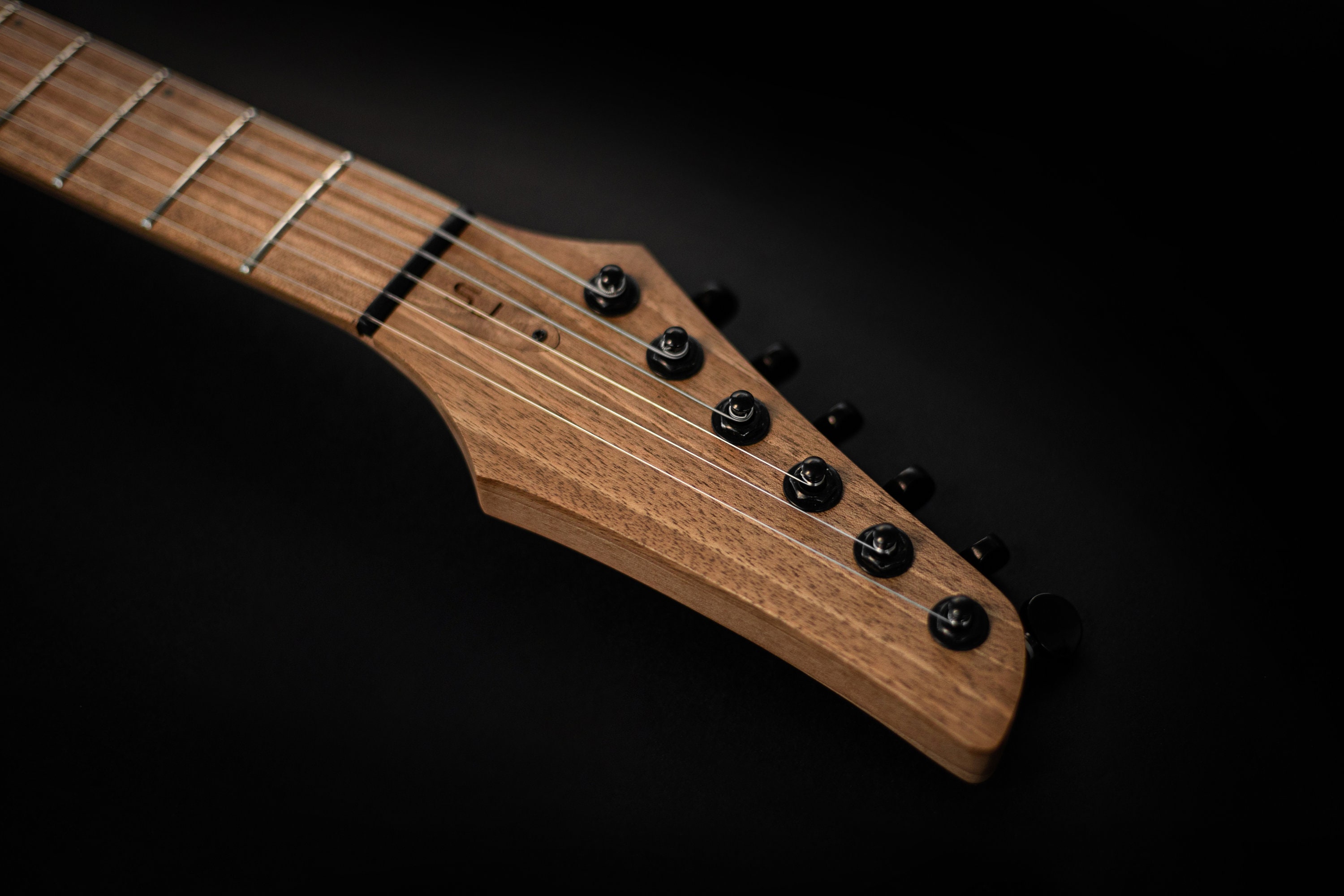 Handmade Custom Electric Guitar Figured Dark Walnut Top SJ6