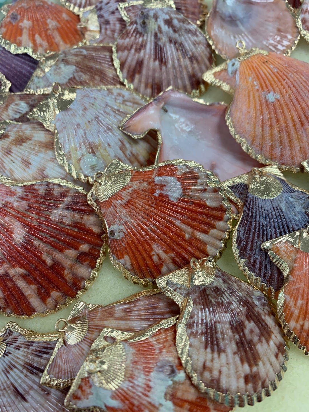 Scallop Shell Inlay Gold Plated Scallop Shell Pendants (1.5 - 2.5 Inches) - Etsy