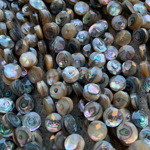 8mm Faceted Abalone Shell Coin Beads