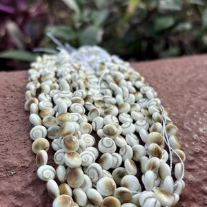 Puede incluir: Hileras de cuentas de concha marinas blancas y tostadas. Las cuentas, con un diseño en espiral, están ensartadas en un hilo blanco. Se encuentran sobre una superficie marrón rojizo, con follaje verde al fondo.