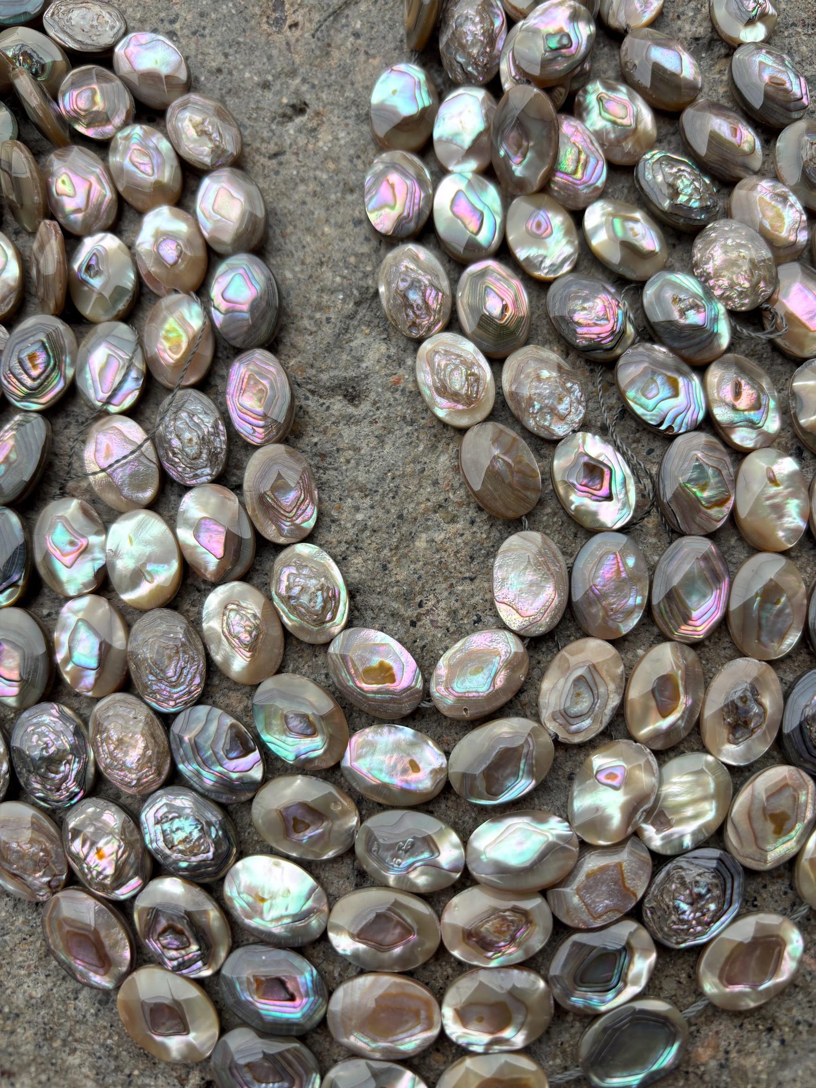 14mm X 10mm Faceted Abalone Shell Oval Bead - Etsy