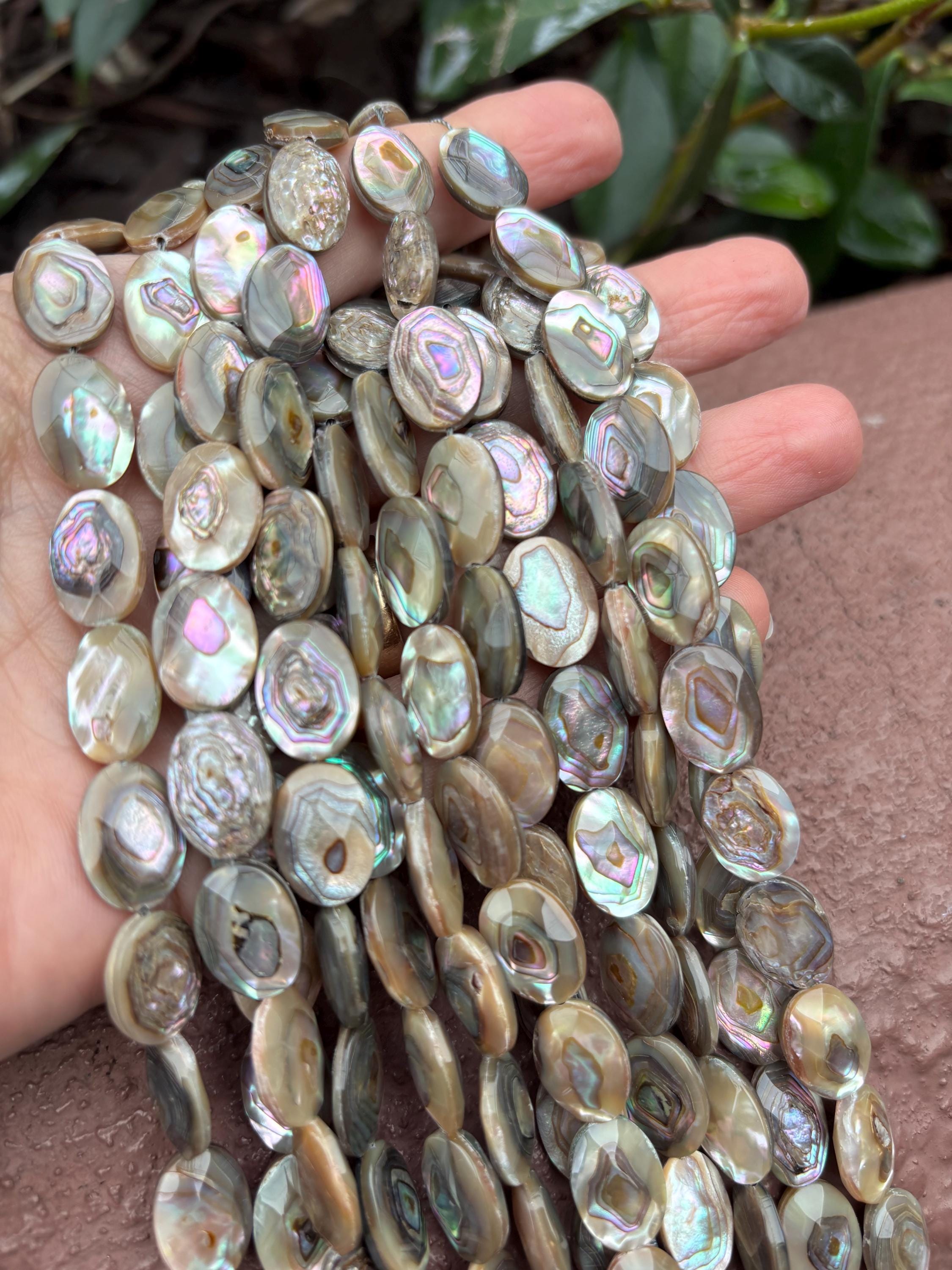 14mm X 10mm Faceted Abalone Shell Oval Bead - Etsy